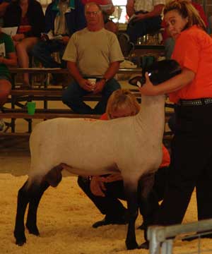 Bob and Ann Borawski with Next Year