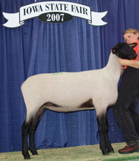 Flawless at Iowa State Fair